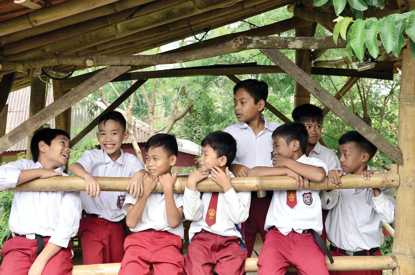 Photo Capaian Pembelajaran Kurikulum Merdeka